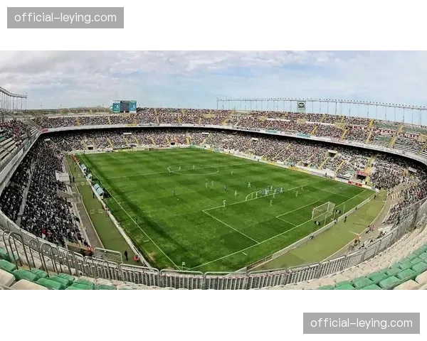 西班牙残奥委会与西甲合作，推出“无声看台”特别观赛区